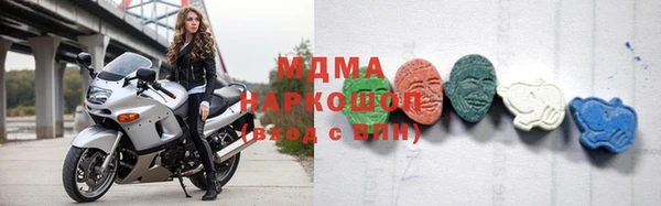 гашик Шенкурск