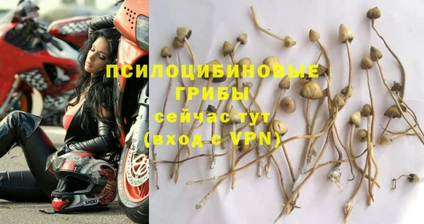 PSILOCYBIN Верхнеуральск