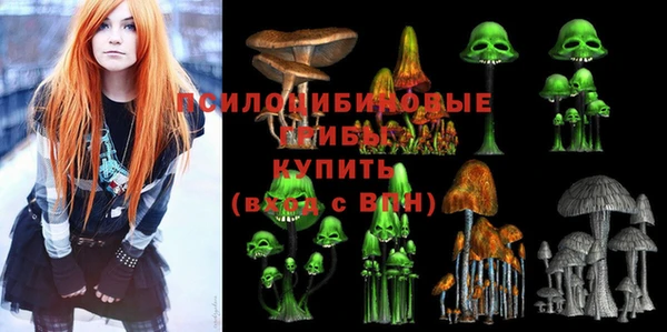 гидропоника Верхний Тагил