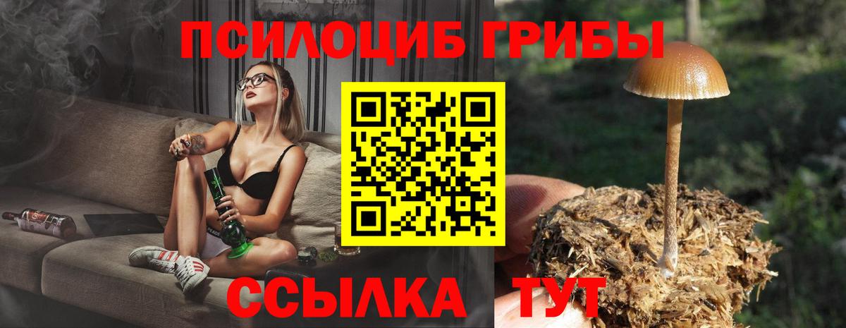 Псилоцибиновые грибы Magic Shrooms Воткинск